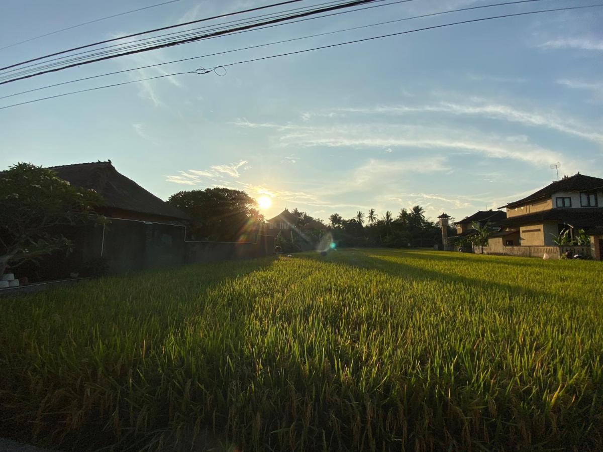 Rumah Dadong Ubud Zewnętrze zdjęcie