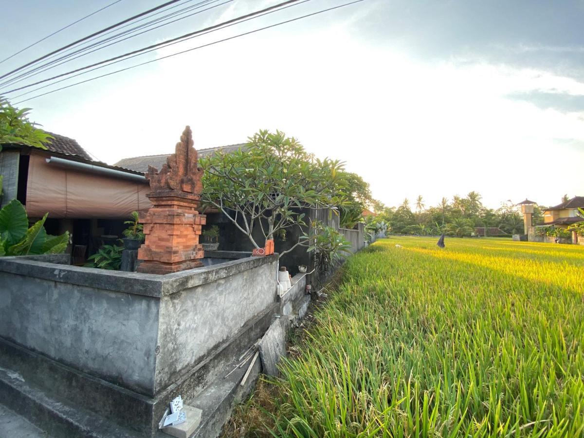 Rumah Dadong Ubud Zewnętrze zdjęcie